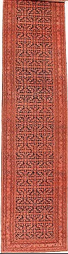 Malayer Red Runner Hand Knotted 3'6" X 16'6"  Area Rug 400-16961
