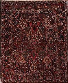 Persian Bakhtiar Brown Rectangle 10x14 ft Wool Carpet 17248