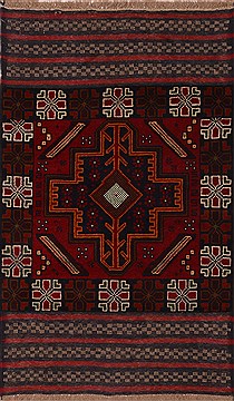 Baluch Red Hand Knotted 2'8" X 4'5"  Area Rug 100-17987