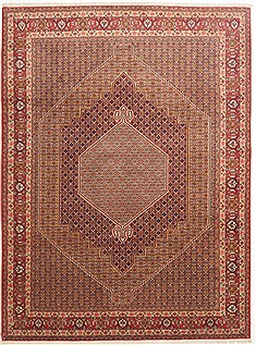 Sanandaj Red Hand Knotted 8'5" X 11'3"  Area Rug 100-10771