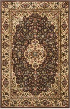 Nourison Persian Arts Brown Rectangle 2x4 ft Polyester Carpet 102492