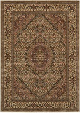 Nourison PERSIAN ARTS Beige Rectangle 2x4 ft polyester Carpet 102528