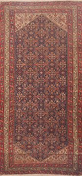 Malayer Red Hand Knotted 6'6" X 16'5"  Area Rug 100-11800