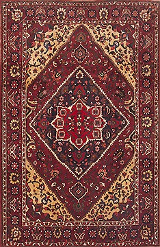 Persian Bakhtiar Red Rectangle 7x10 ft Wool Carpet 12312