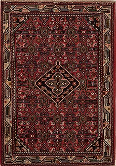 Persian Hamedan Red Rectangle 3x5 ft Wool Carpet 12591
