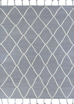 Couristan QUIXOTE Grey Rectangle 2x4 ft Recycled Synthetic Fibers Carpet 128939