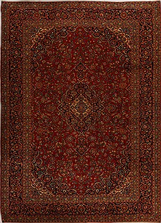 Ardakan Red Hand Knotted 9'10" X 14'1"  Area Rug 251-14280