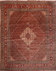 Sarab Red Hand Knotted 10'0" X 13'1"  Area Rug 100-16300