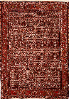 Persian Bidjar Red Rectangle 7x10 ft Wool Carpet 16323