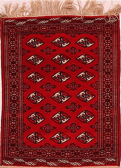 Persian Turkman Red Rectangle 3x5 ft Wool Carpet 16441