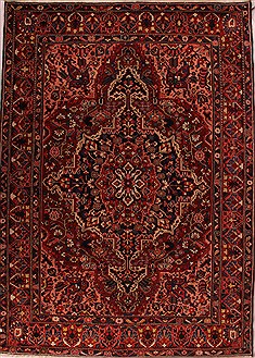 Persian Bakhtiar Red Rectangle 10x13 ft Wool Carpet 16743