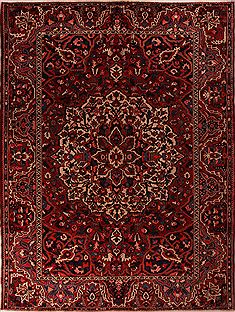 Persian Bakhtiar Red Rectangle 10x12 ft Wool Carpet 17262