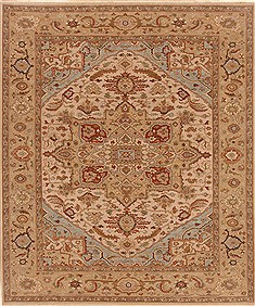 Indian Serapi Beige Rectangle 8x10 ft Wool Carpet 19391