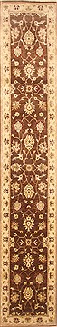 Indian Zanjan Brown Runner 13 to 15 ft Wool Carpet 22260