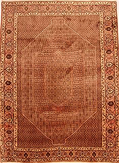 Persian Bidjar Brown Rectangle 7x9 ft Wool Carpet 23241
