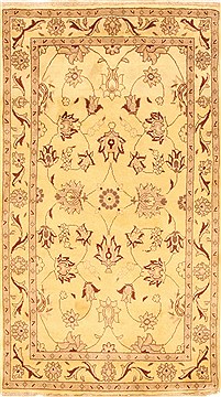 Kashmar Beige Hand Knotted 3'4" X 6'1"  Area Rug 100-28060