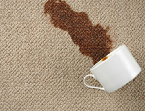 5 Most Effective Carpet-Cleaning Tips