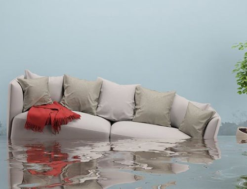How To Deal With A Flooded Rug