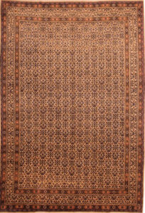 Birjand Rug