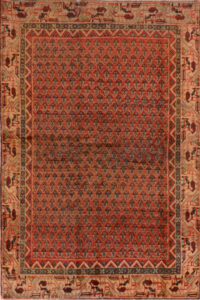 Botemir Rugs