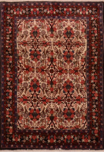 Hamadan Rug