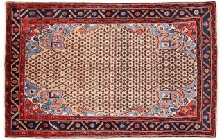 Sonqor Rug