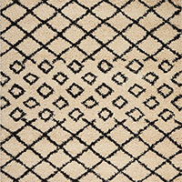 Moroccan Shag Collection rugs