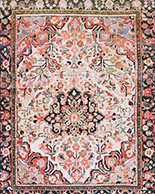 Borchelu Rugs rugs