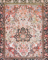 Borchelu Rugs rugs
