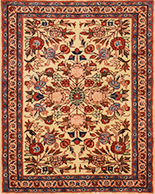 Shahsavan Rugs rugs
