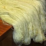 Silk Rugs rugs