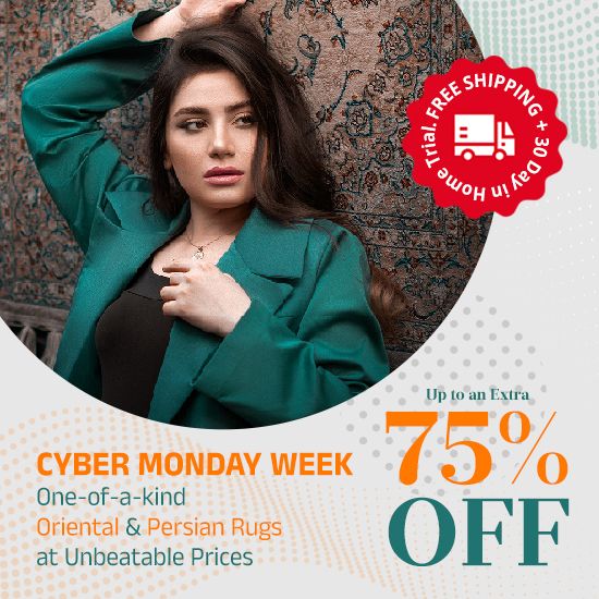 Cyber Monday Week 2022 - Rugs for Sale