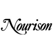 Nourison Rugs