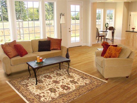 Bhadohi Beige Hand Knotted 40 X 60 Area Rug 100-10520 Image 5