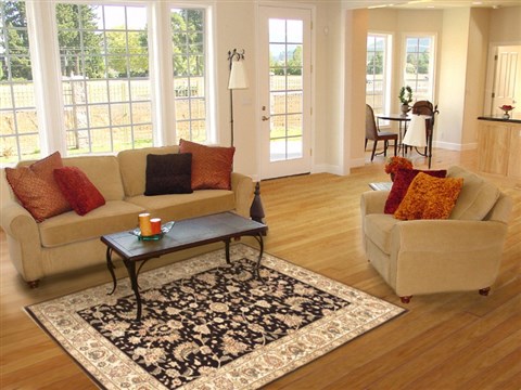 Sino-Persian Black Hand Knotted 40 X 60 Area Rug 100-10522 Image 5