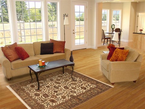 Jaipur Beige Hand Knotted 40 X 60 Area Rug 100-10525 Image 5
