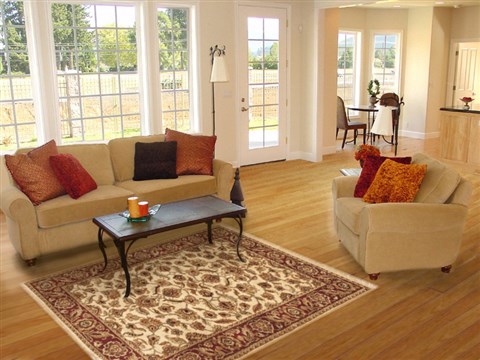 Jaipur White Hand Knotted 40 X 60 Area Rug 100-10526 Image 5