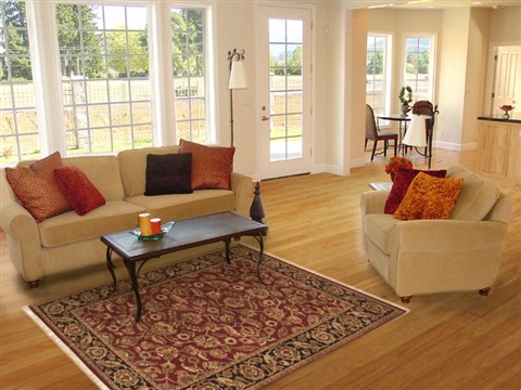 Jaipur Red Hand Knotted 40 X 60 Area Rug 100-10533 Image 5