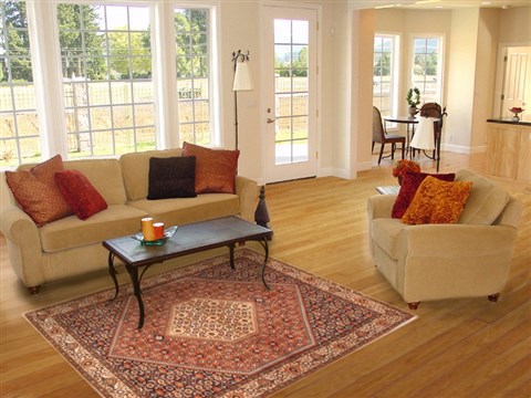Bidjar Red Hand Knotted 38 X 511 Area Rug 100-10534 Image 5