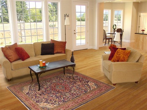 Jozan Blue Hand Knotted 42 X 63 Area Rug 100-10535 Image 5