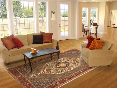 Bakhtiar Green Hand Knotted 78 X 100 Area Rug 100-10539 Image 4