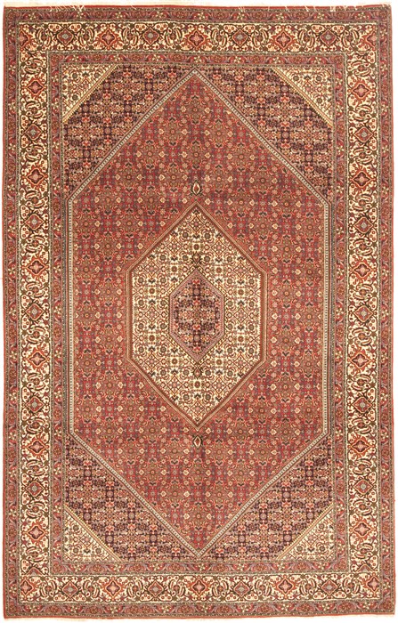 Bidjar Red Hand Knotted 66 X 103  Area Rug 100-10541 Image 0