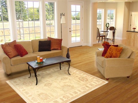 Oushak Beige Hand Knotted 40 X 62 Area Rug 100-10544 Image 5