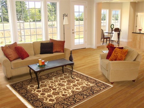Jaipur White Hand Knotted 40 X 60 Area Rug 100-10545 Image 5