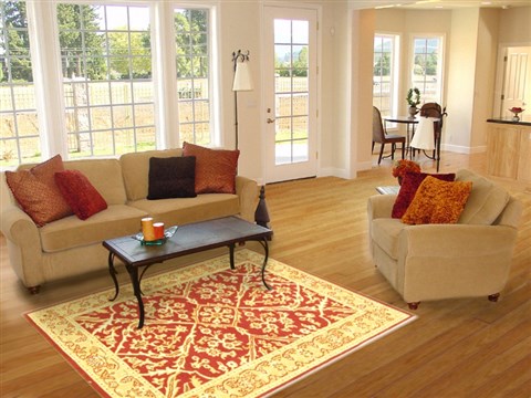Jaipur Red Hand Knotted 311 X 511 Area Rug 100-10548 Image 5