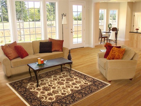 Jaipur Beige Hand Knotted 40 X 60 Area Rug 100-10556 Image 5