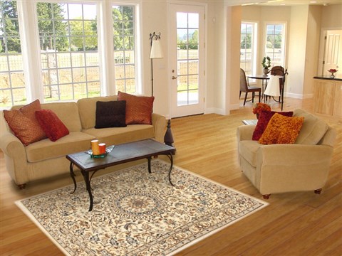 Nain Beige Hand Knotted 39 X 59 Area Rug 100-10558 Image 5