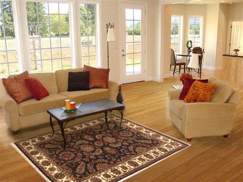 Jaipur Black Hand Knotted 40 X 60 Area Rug 100-10566 Image 5