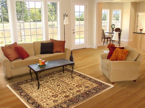 Jaipur Beige Hand Knotted 40 X 511 Area Rug 100-10567 Image 5