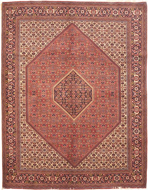 Bidjar Red Hand Knotted 66 X 86  Area Rug 100-10575 Image 0